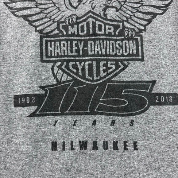 Harley-Davidson Tee Shirt Gray Large Unisex 115 years Anniversary - Picture 3 of 11